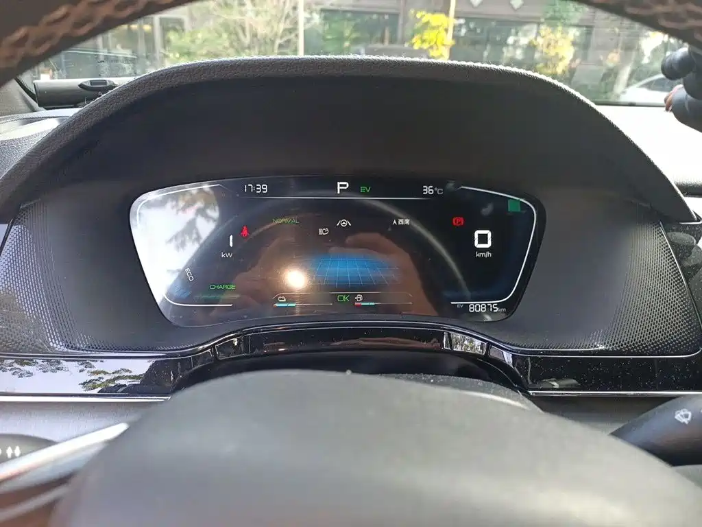 BYD Tang New Energy — миниатюра 4