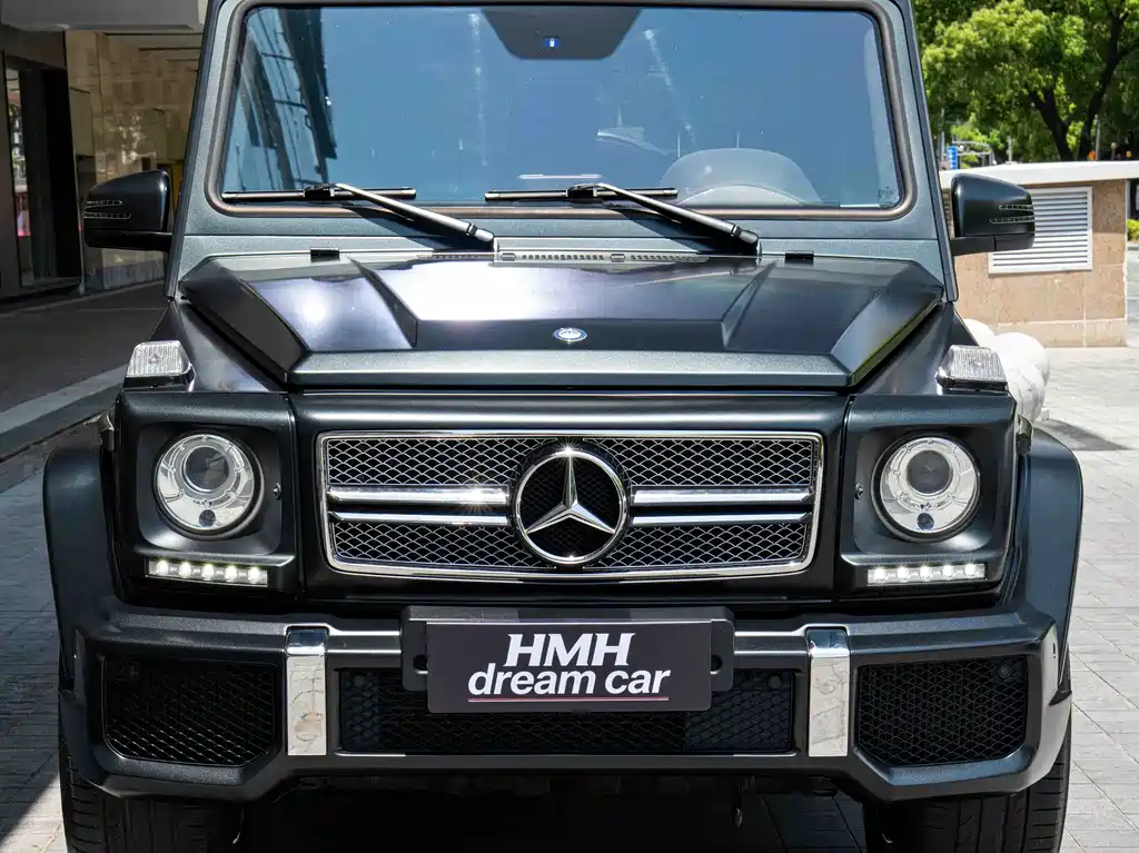 Mercedes-Benz G-Class A MG G AMG 2013 AMG G 65