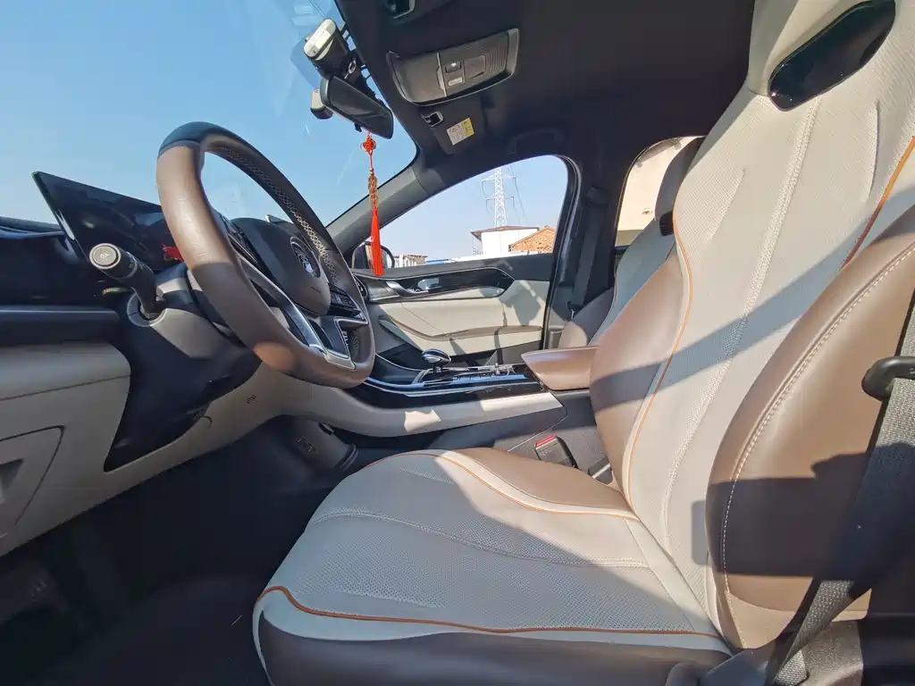 BYD Qin Plus PLUS 2024 EV 510KM Lead