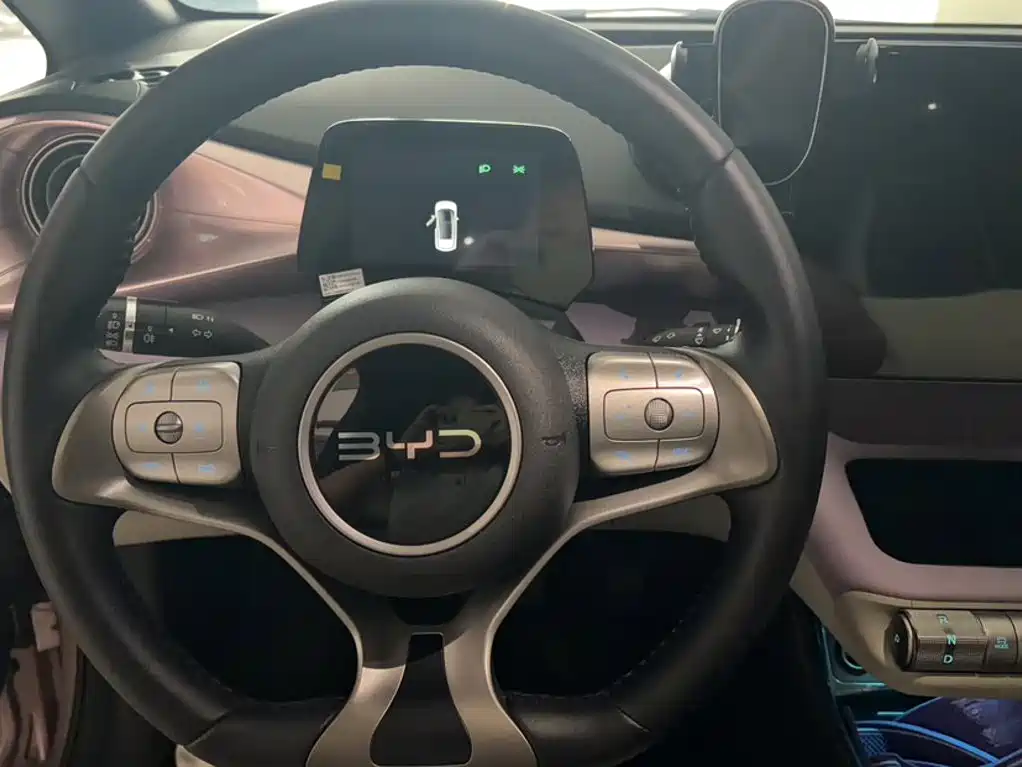 BYD Dolphin — миниатюра 11