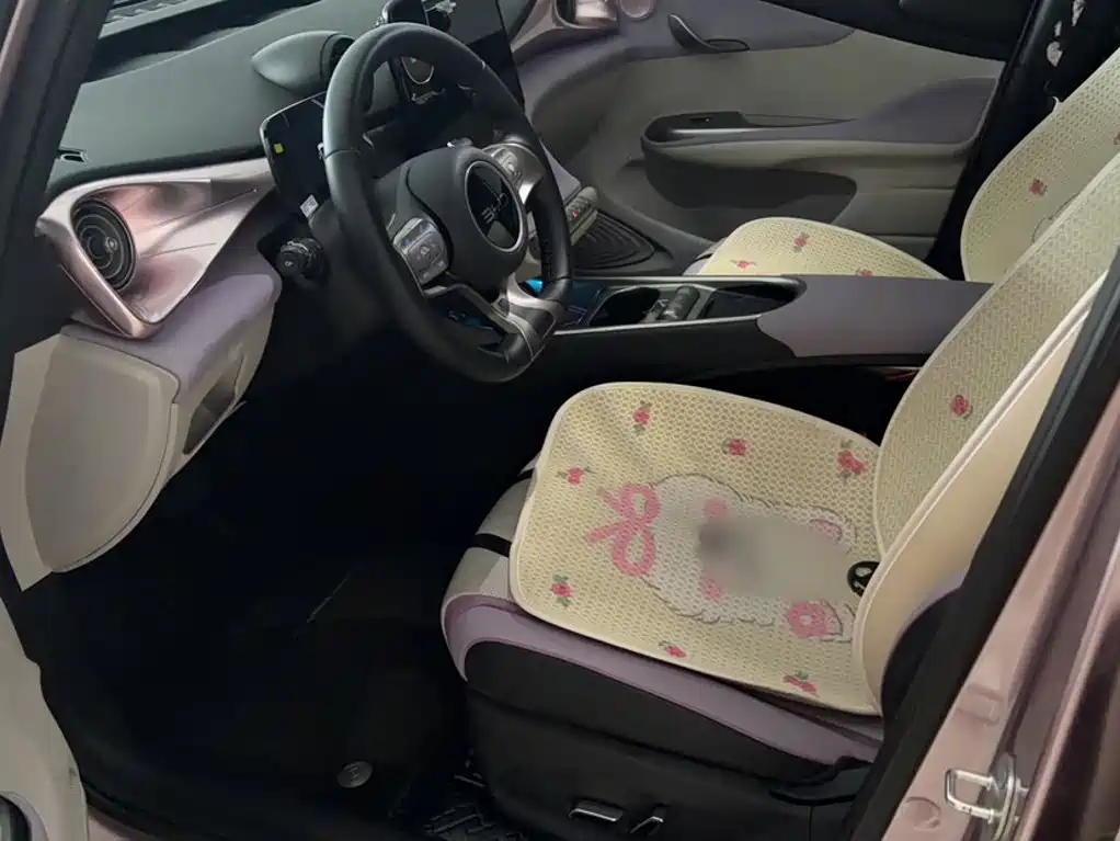BYD Dolphin — миниатюра 9