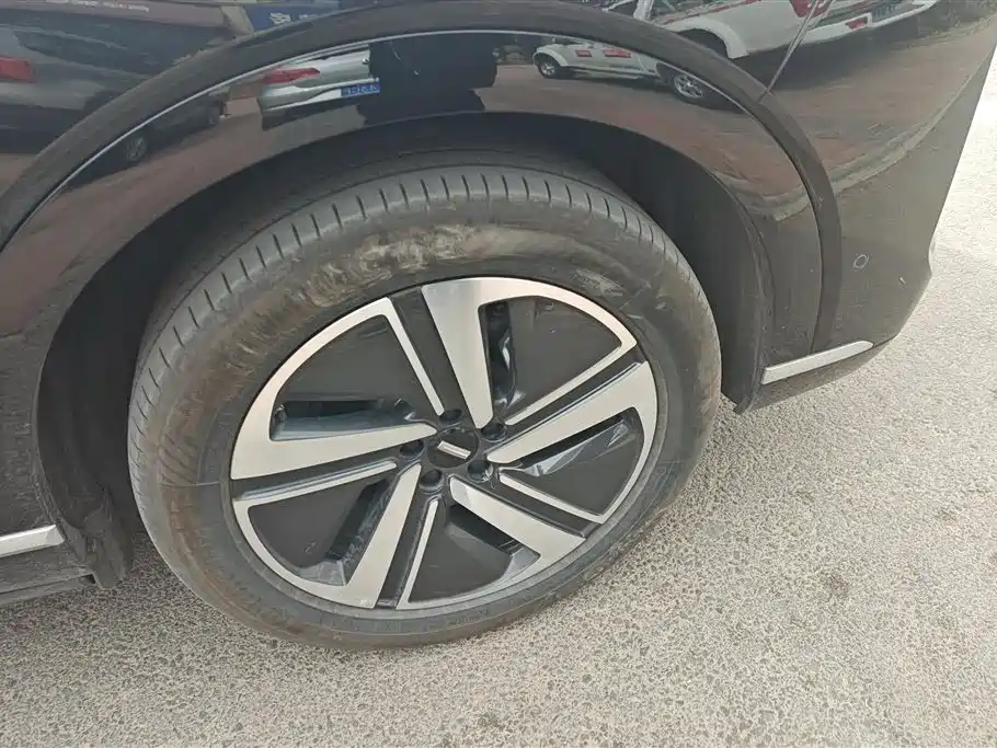 WEI PAI WEI BRAND BLUE MOUNTAIN