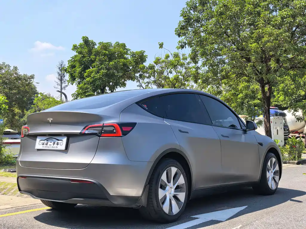 Tesla Model Y — миниатюра 10