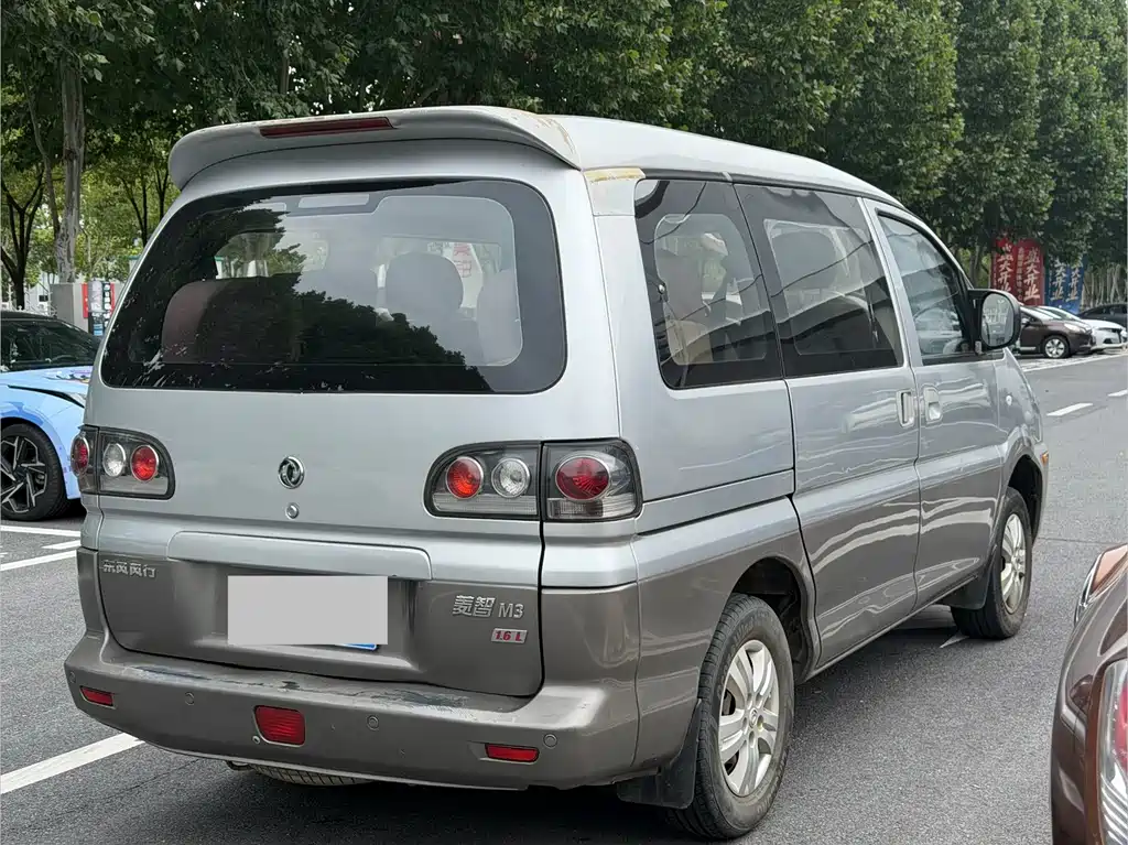 Fengxing Lingzhi — миниатюра 12