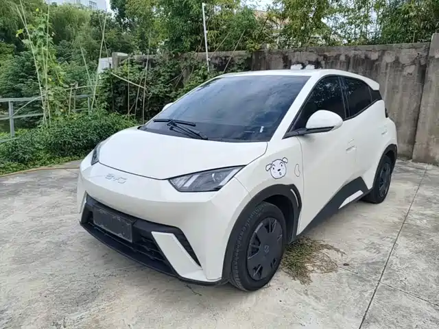 2024 BYD Seagull