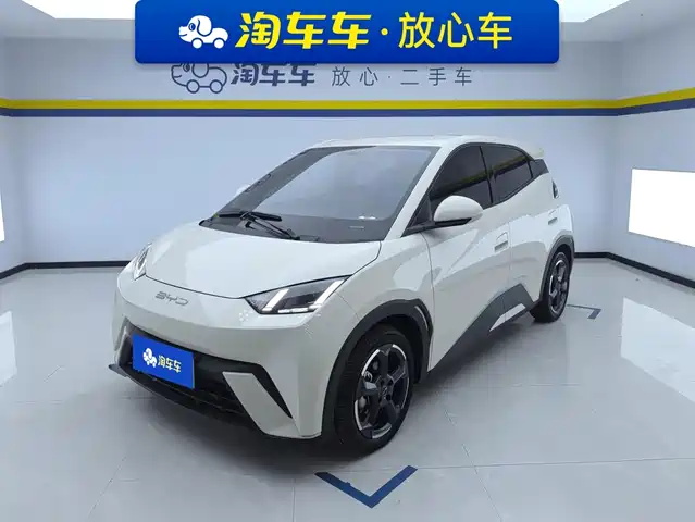 2024 BYD Seagull