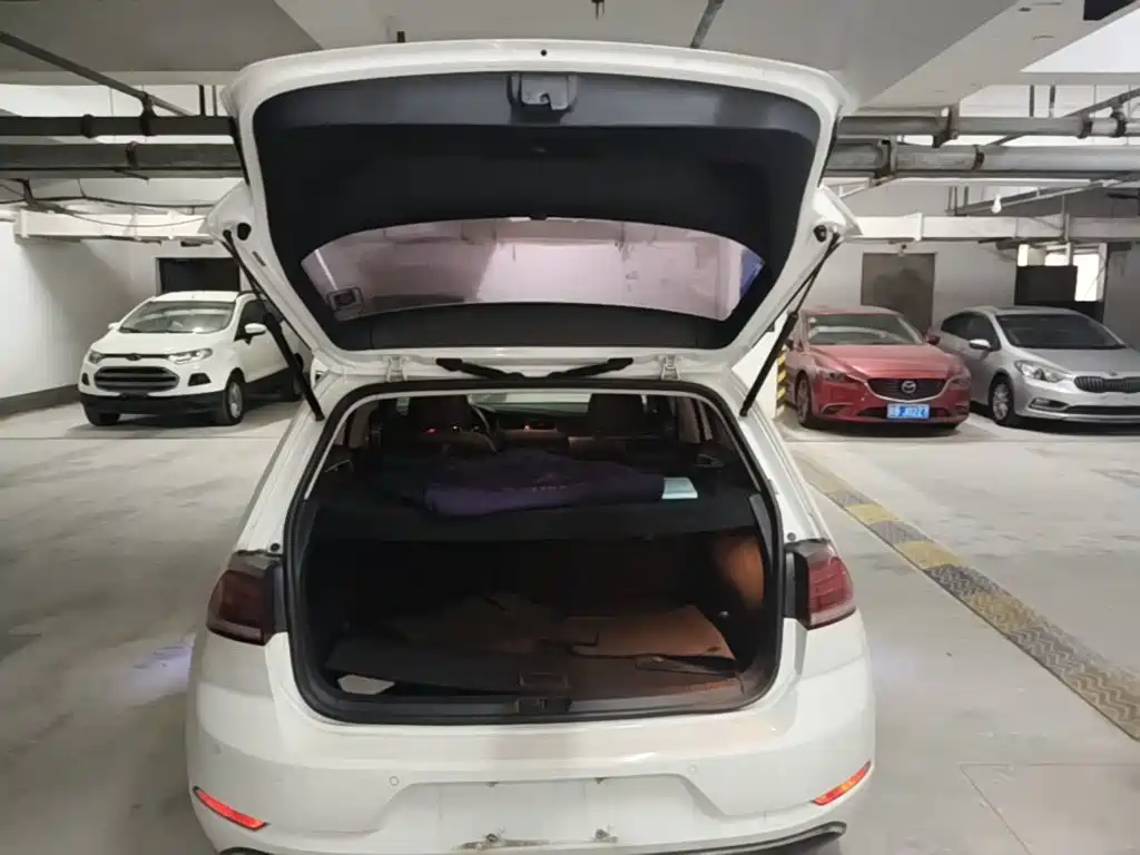 Volkswagen Golf — миниатюра 19