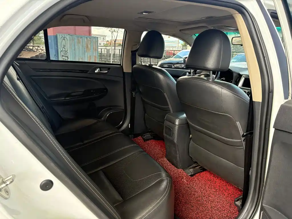 BYD Surui — миниатюра 11