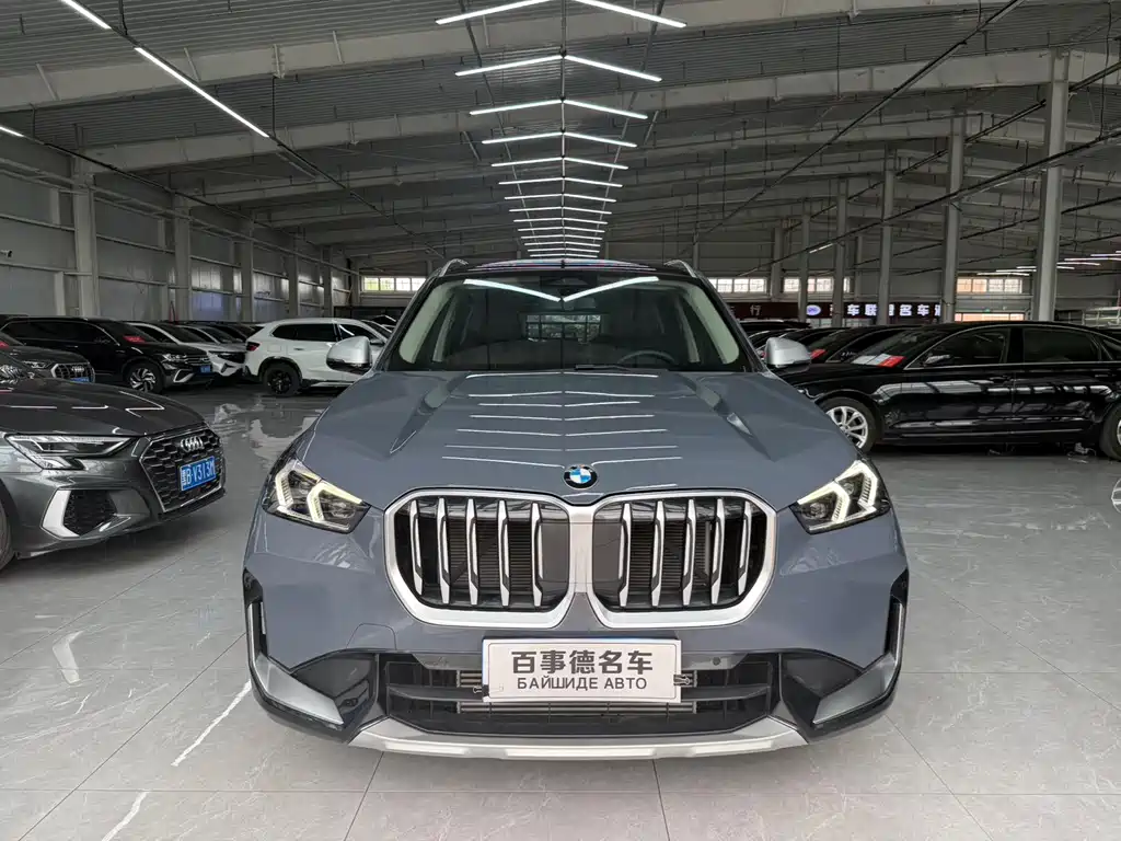 BMW X1 — миниатюра 2