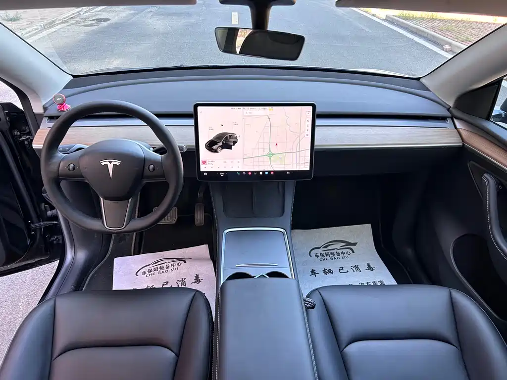 Tesla Model Y — миниатюра 7
