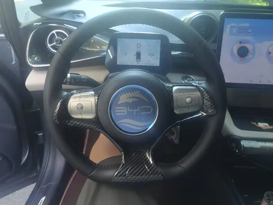 BYD Dolphin — миниатюра 15