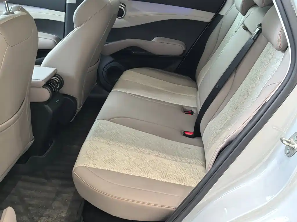BYD Yuan Plus — миниатюра 11