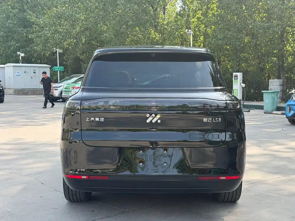 IM IM LS8 — миниатюра 8