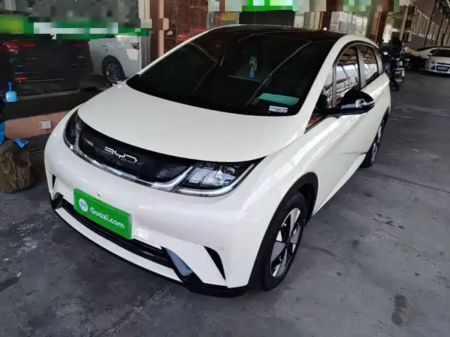 2024 BYD Dolphin