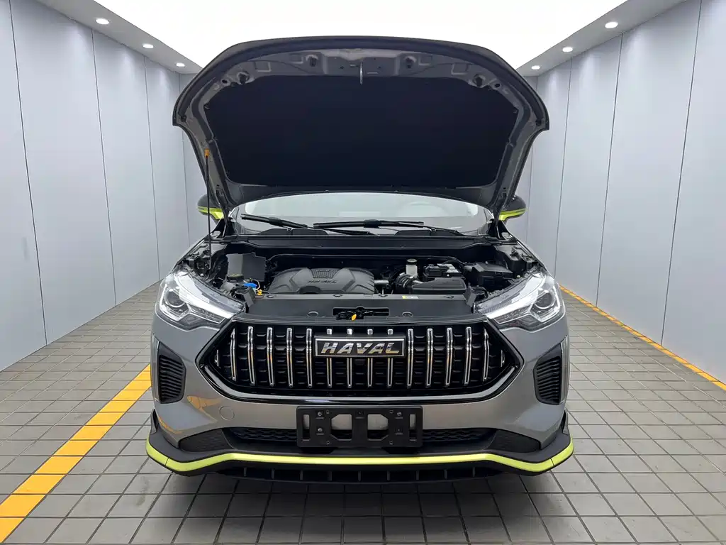 Haval Chitu — миниатюра 16