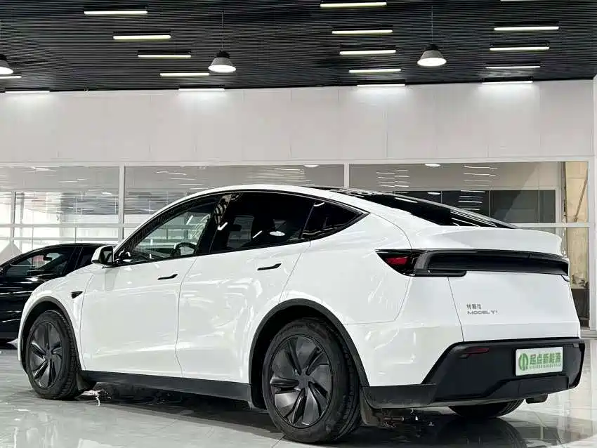 Tesla Model Y — миниатюра 3