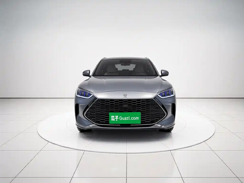 BYD PLUS New Energy — миниатюра 2