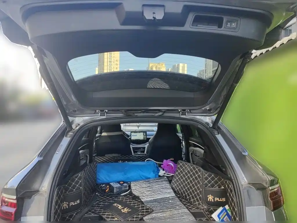 BYD PLUS New Energy — миниатюра 20