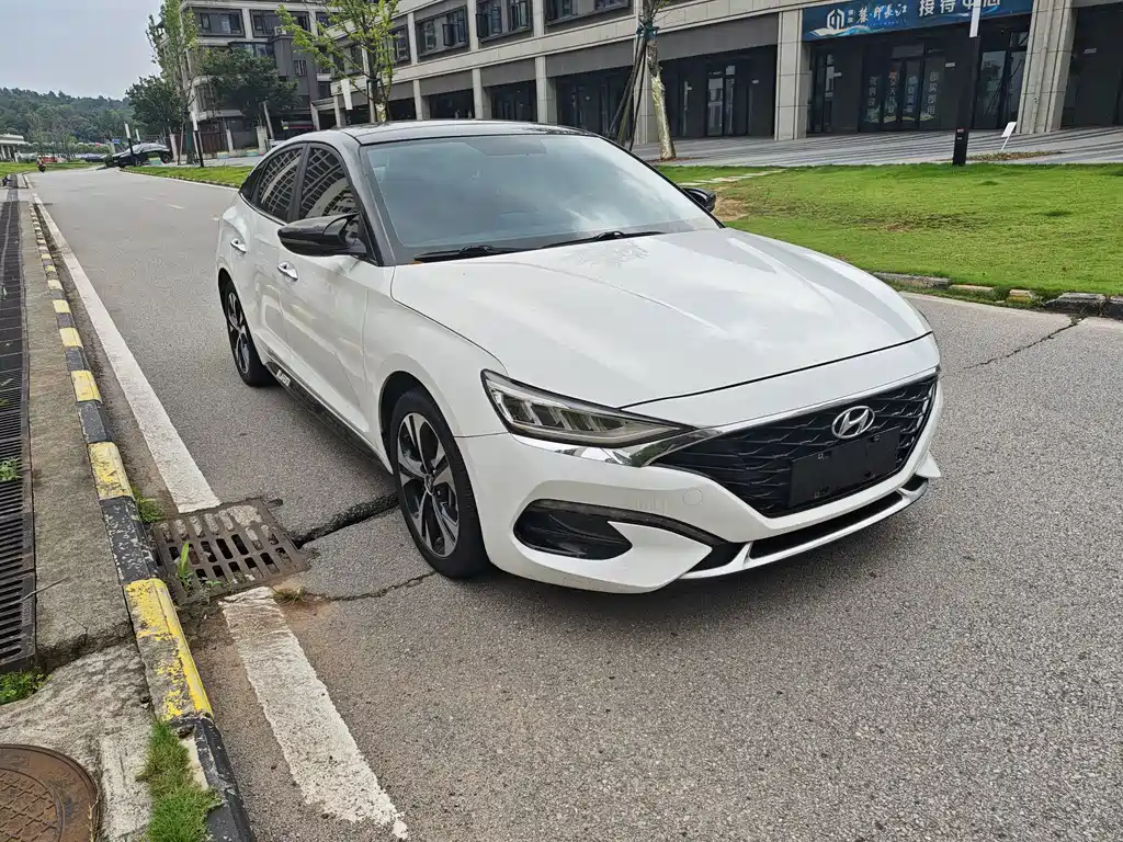 Hyundai Fista — миниатюра 2