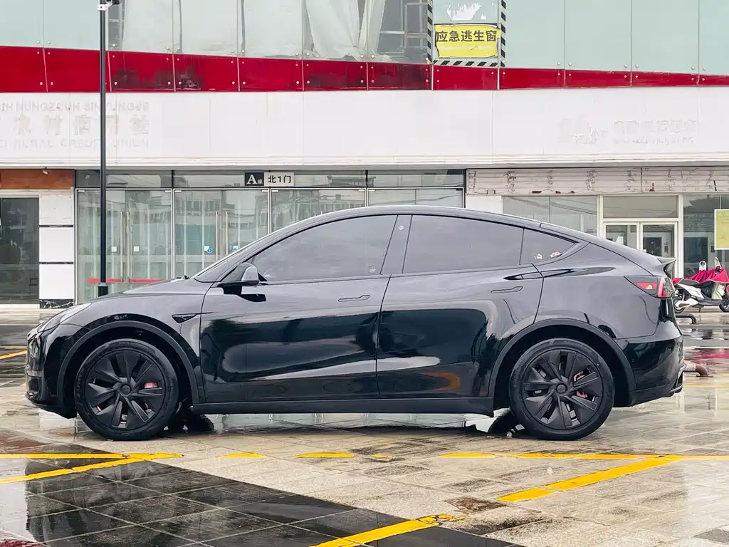 Tesla Model Y — миниатюра 7