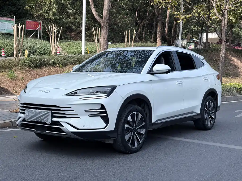 BYD SONGJIANG NEW ENERGY