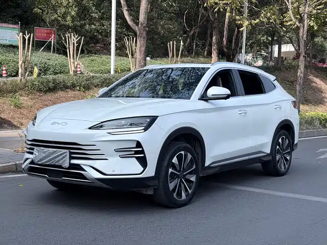 byd songjiang-new-energy
