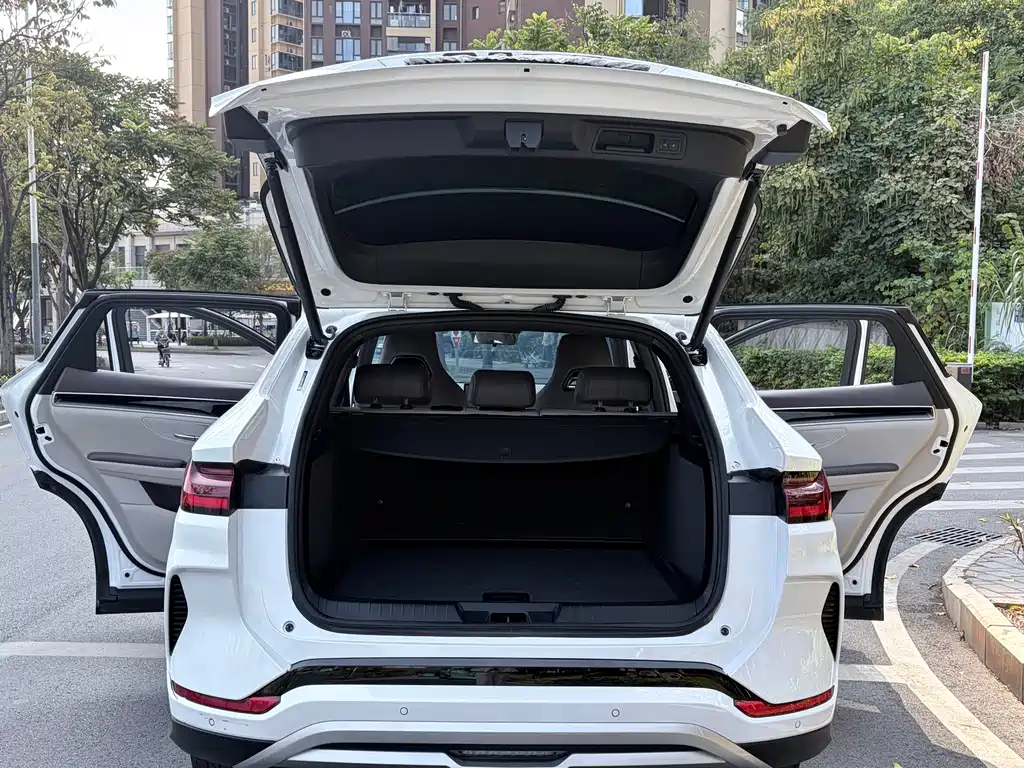 BYD SONGJIANG NEW ENERGY