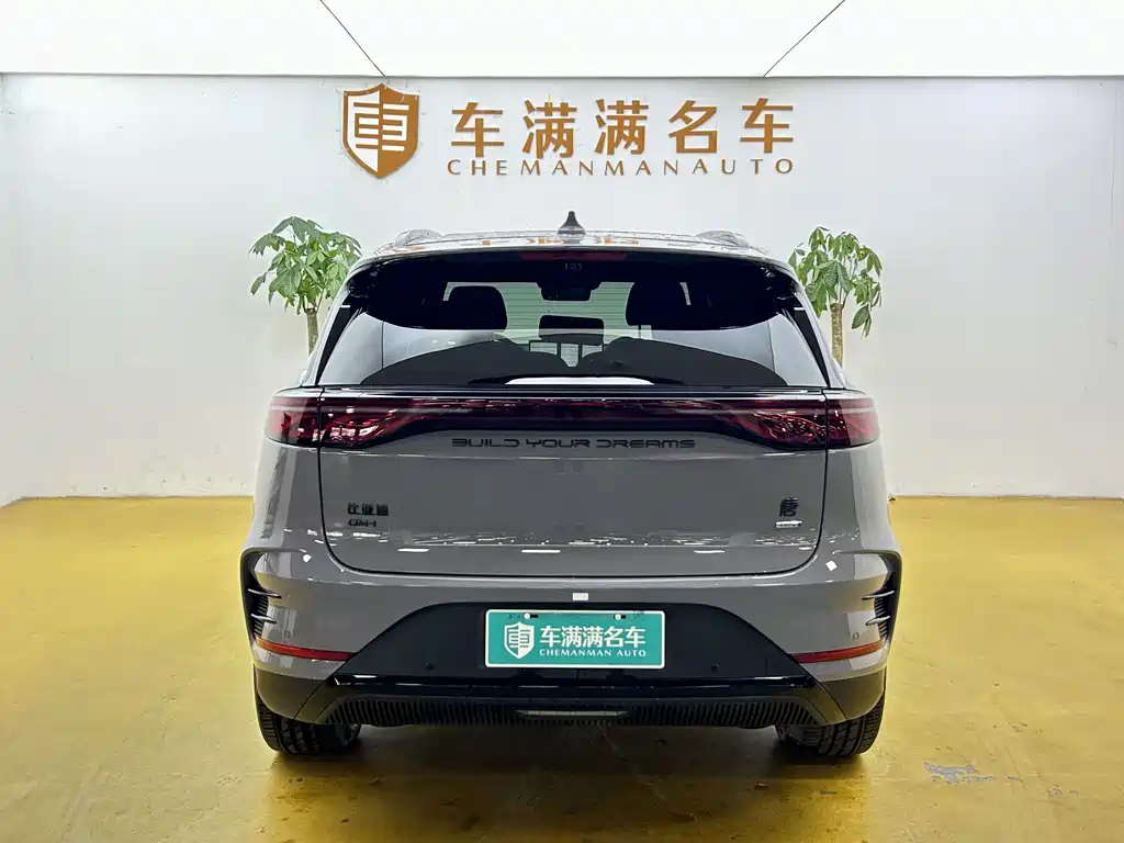 BYD Tang New Energy — миниатюра 10