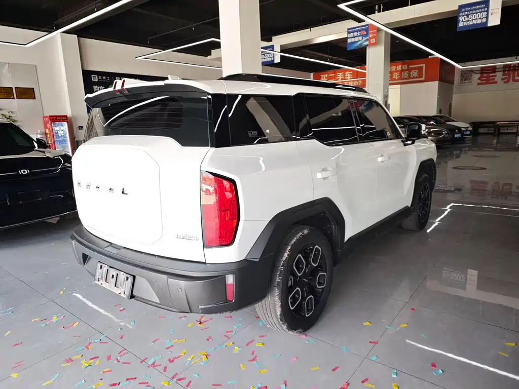 Haval Cool Dog — миниатюра 7