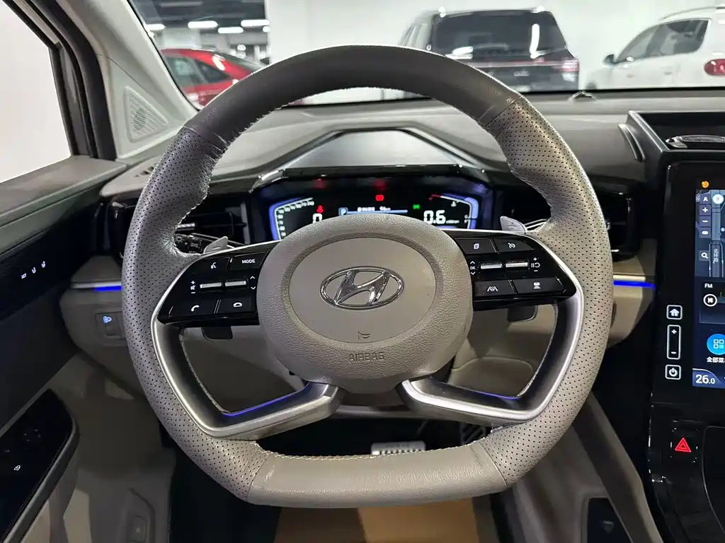 Hyundai Custo 2021 380TGDi Flagship TOP Premium