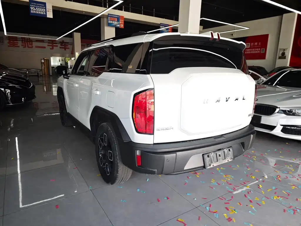 Haval Cool Dog — миниатюра 6