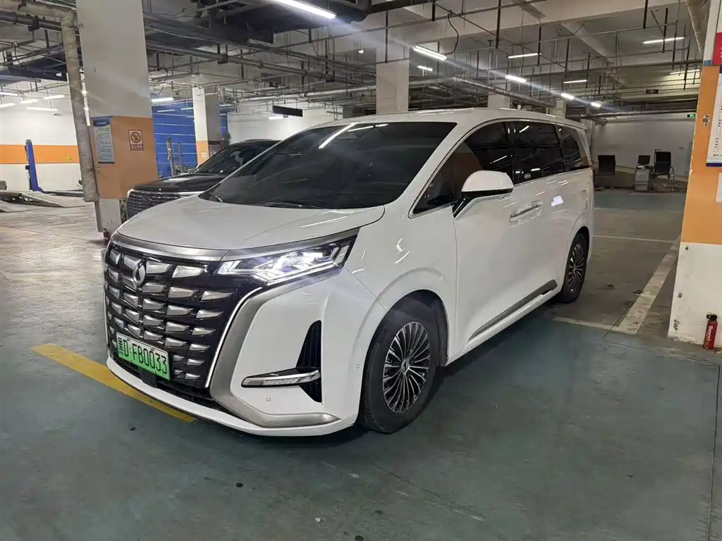 Denza D9