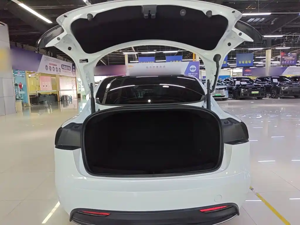 Tesla Model 3 — миниатюра 19