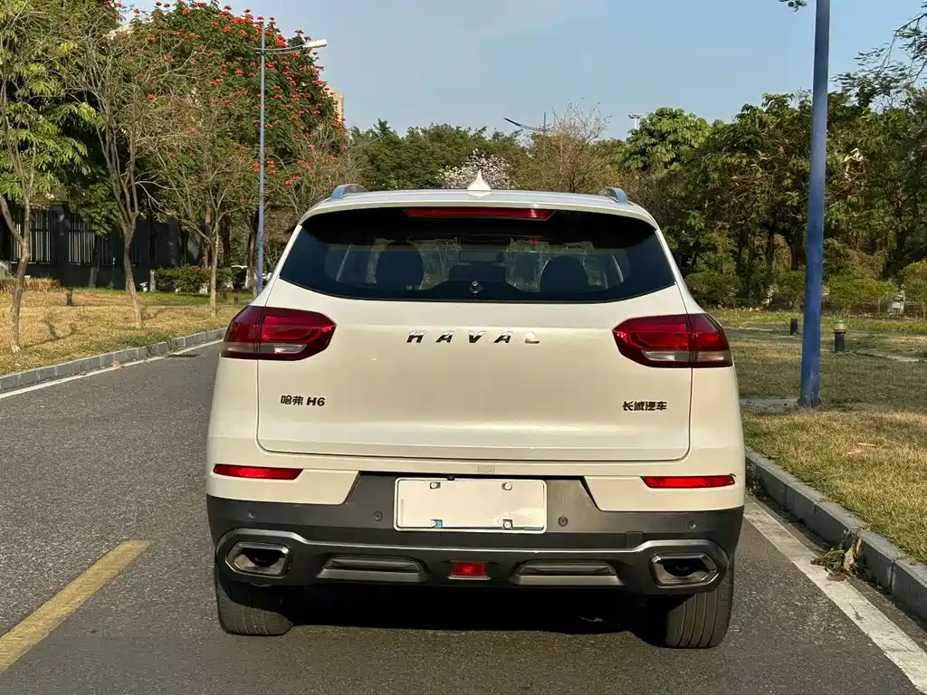 HAVAL H6