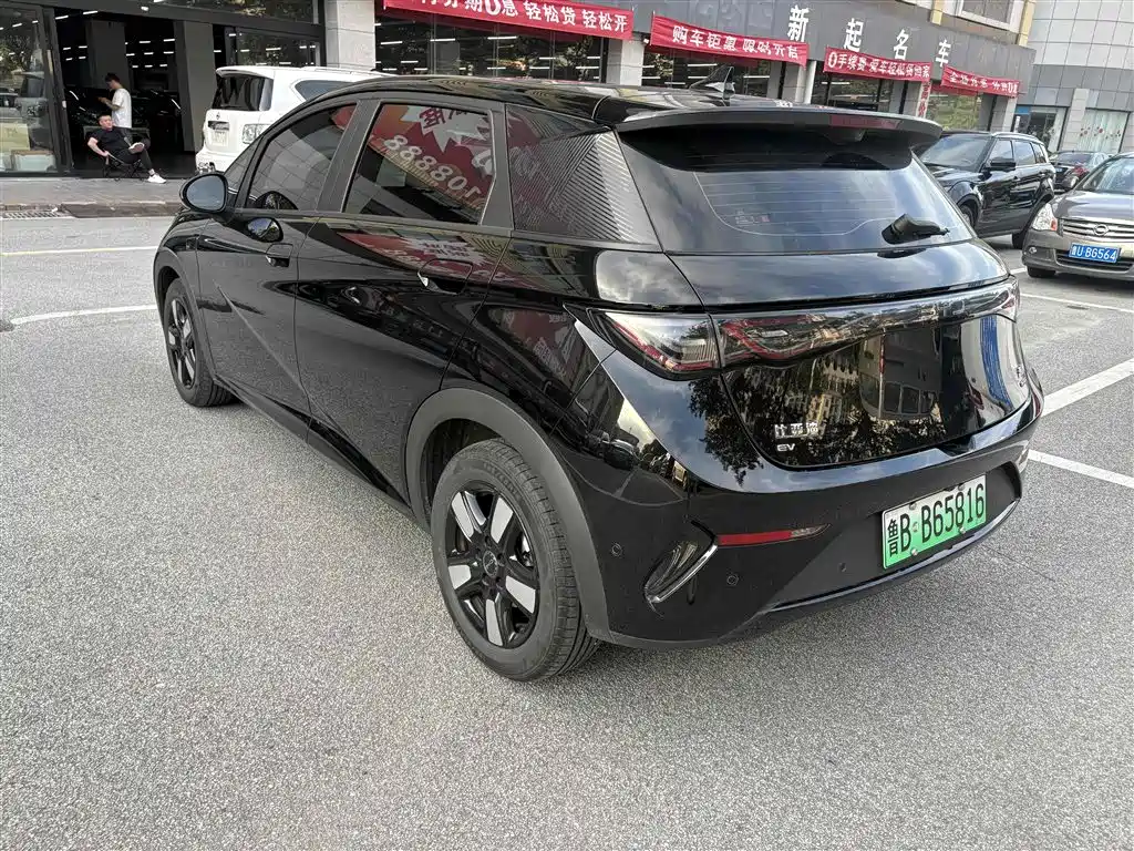 BYD Dolphin 2025 Smart Drive 410km Fashion