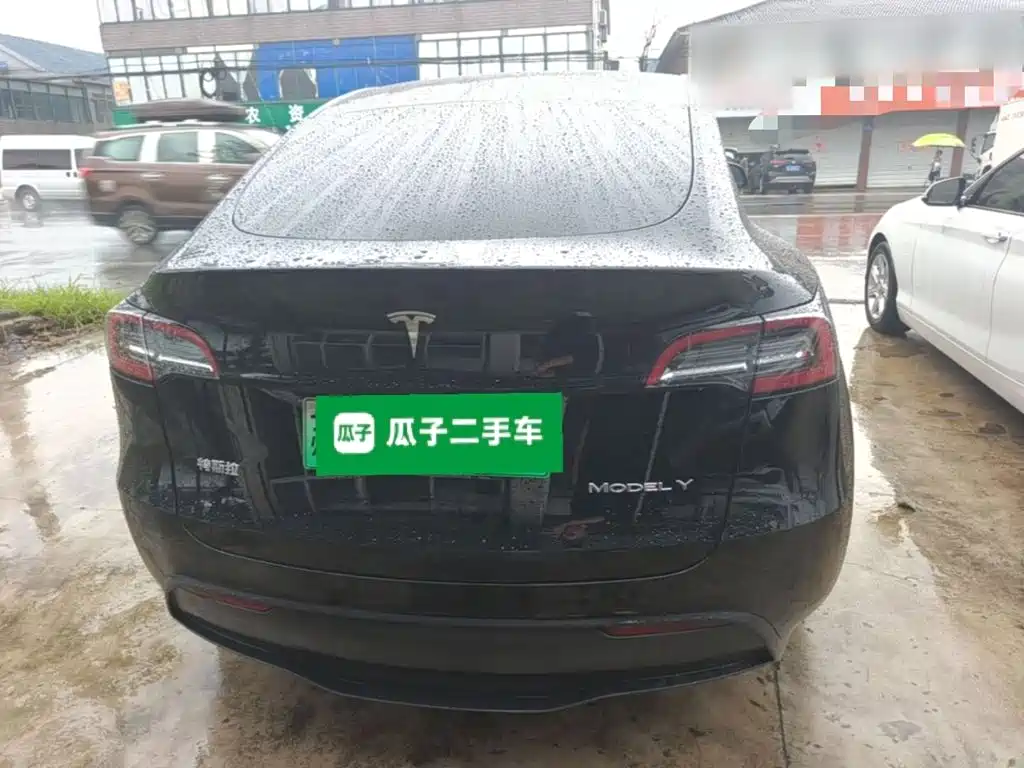 Tesla Model Y — миниатюра 6