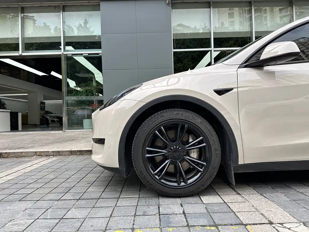 Tesla Model Y — миниатюра 3