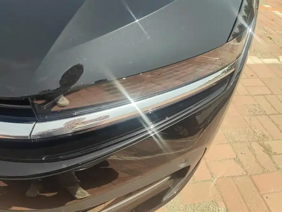 Volkswagen Magotan 2026 3000 330TSI DSG Elite