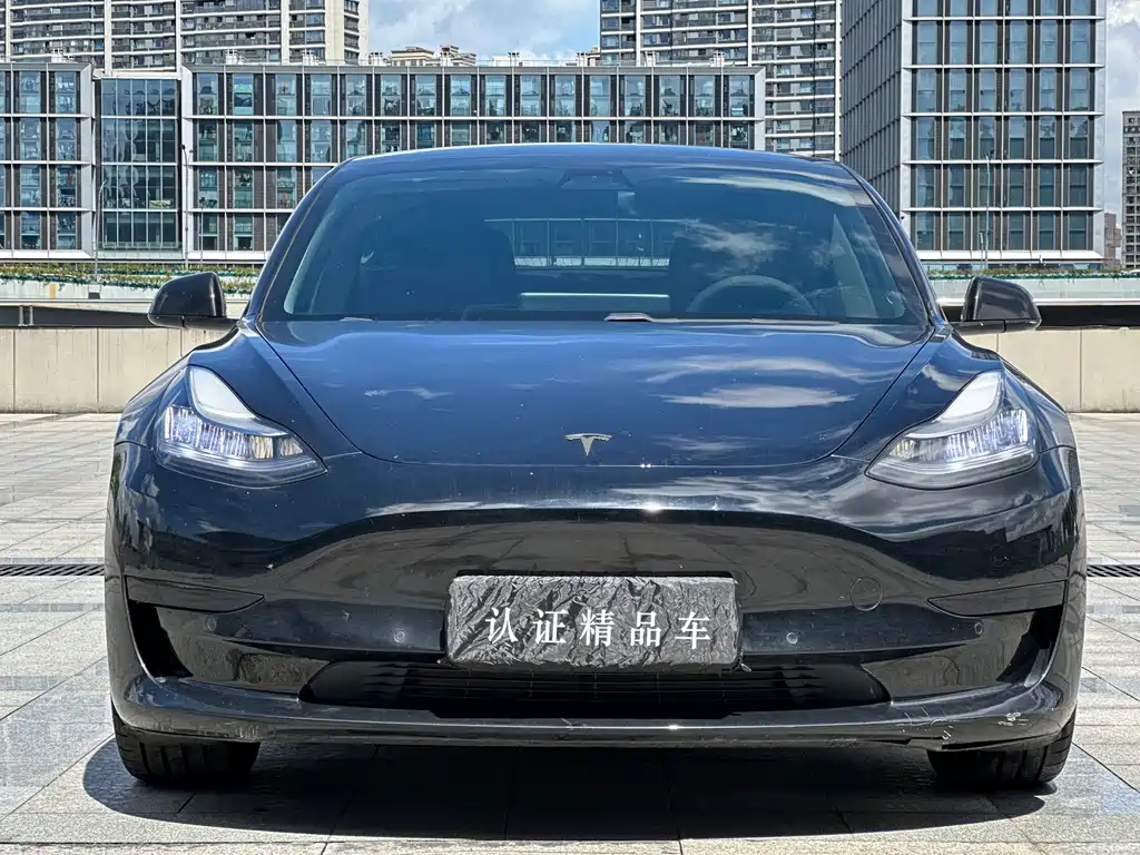 Tesla Model 3 — миниатюра 2
