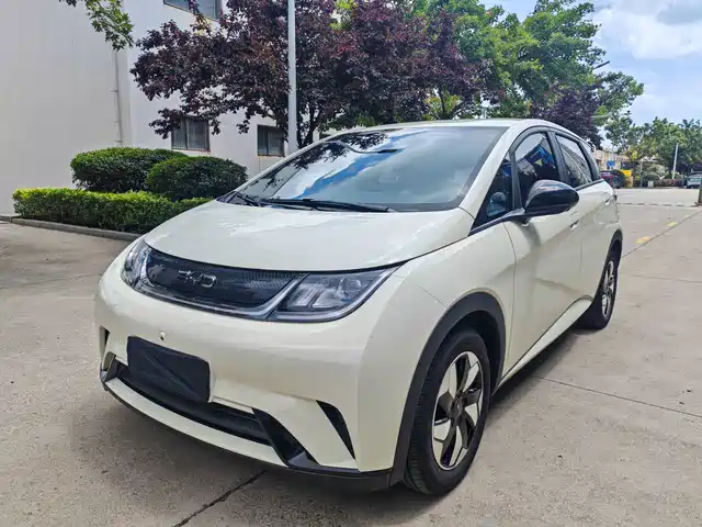 2026 BYD Dolphin