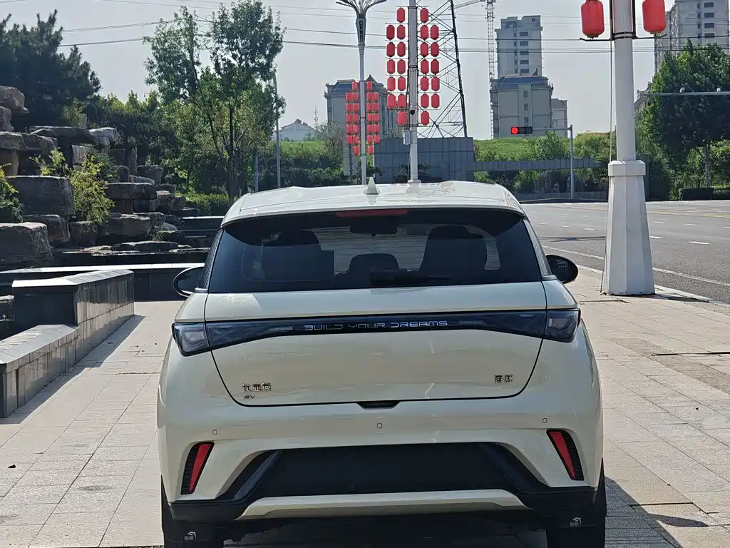 BYD Dolphin — миниатюра 5
