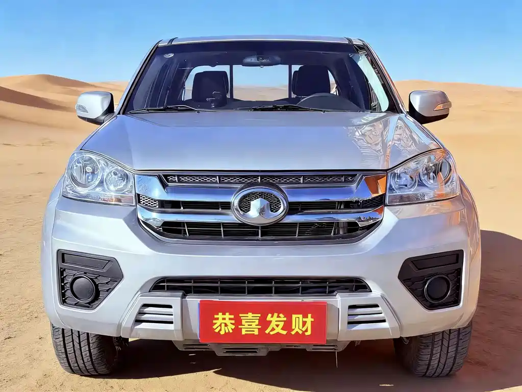 GREAT WALL FENGJUN 5