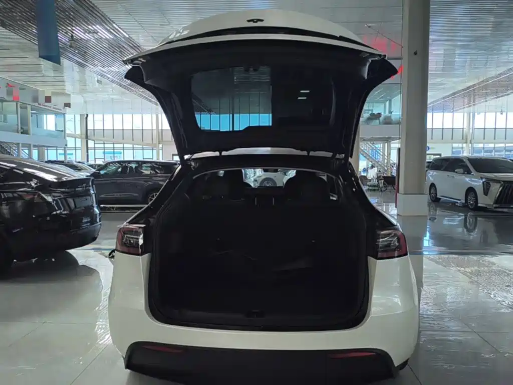 Tesla Model Y — миниатюра 19