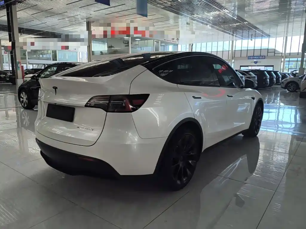 Tesla Model Y — миниатюра 7
