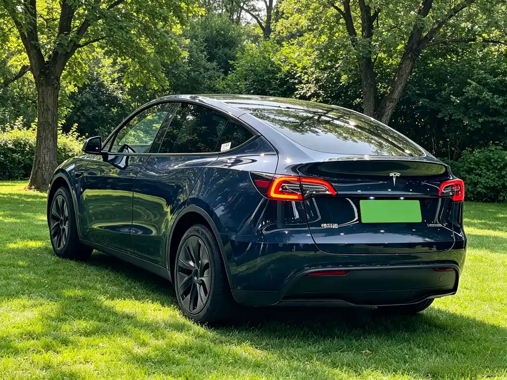 Tesla Model Y — миниатюра 4