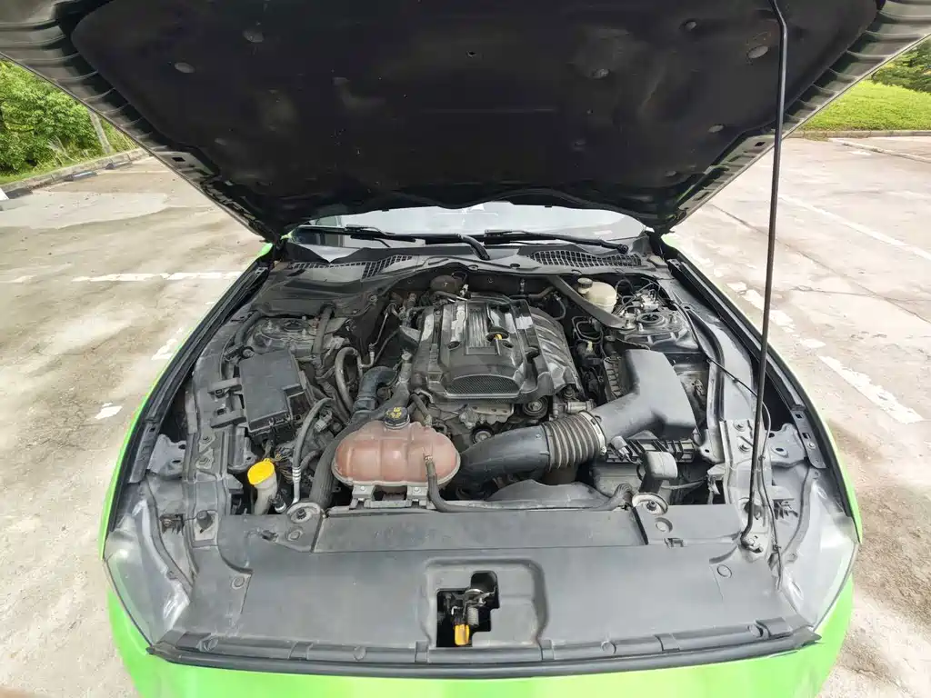 Ford Mustang — миниатюра 20