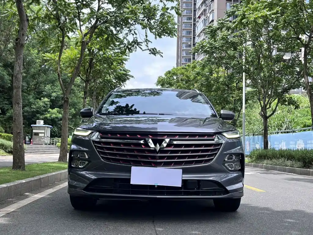 Wuling Victory — миниатюра 4