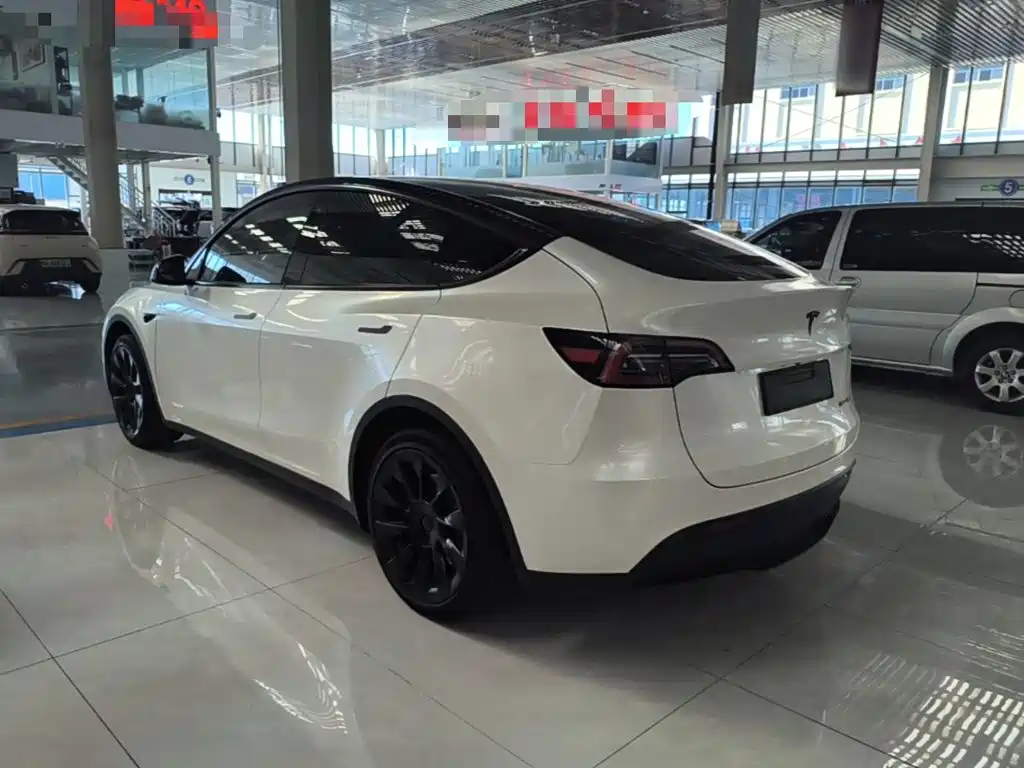 Tesla Model Y — миниатюра 5