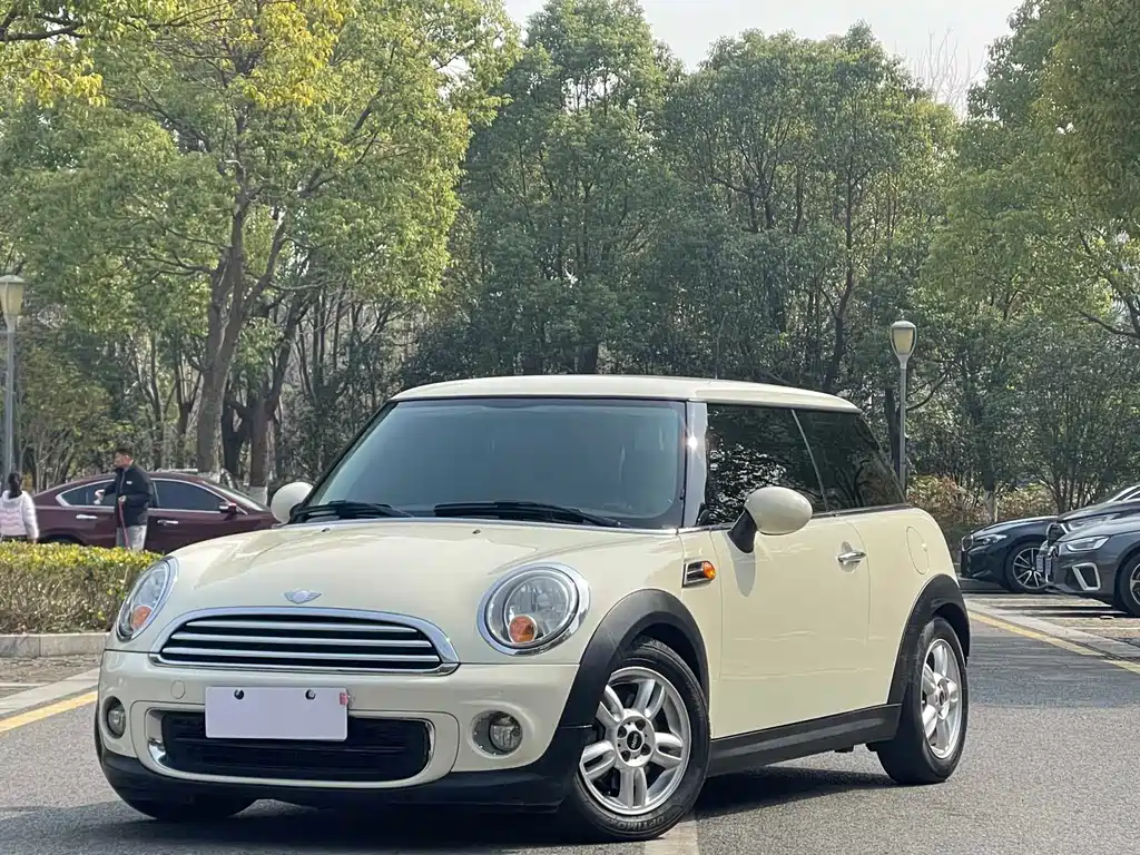Mini Mini 2013