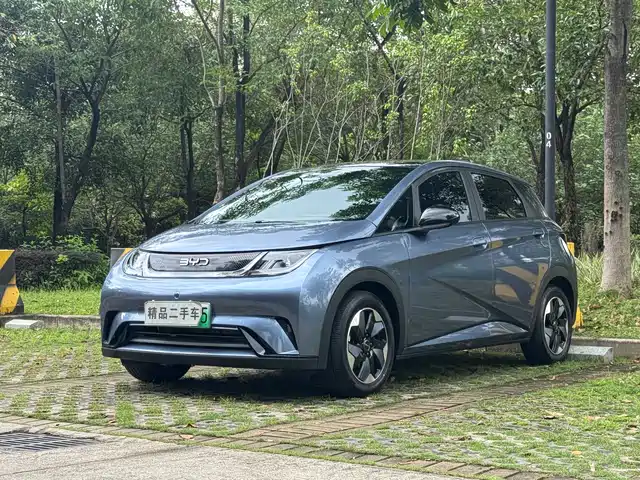 2025 BYD Dolphin
